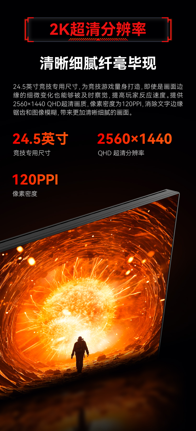 P2510S-MAX_03.jpg
