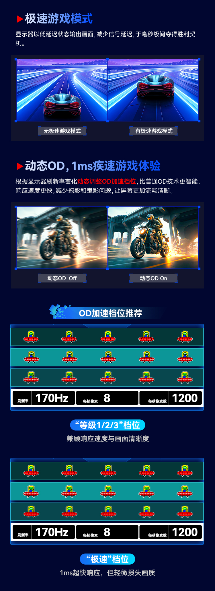 P2510R_11.jpg