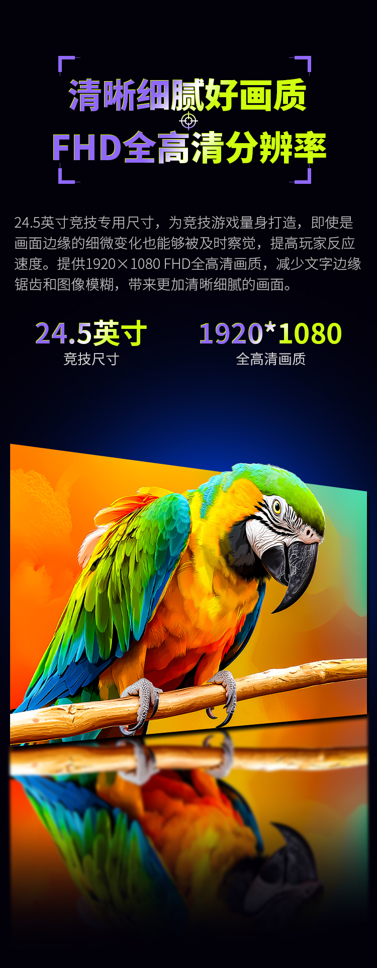 P2510H-PLUS_05.jpg